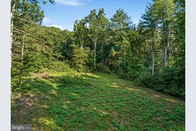 A4 Gooney Manor Loop, Bentonville, VA 22610 - Photo 49