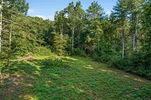 A4 Gooney Manor Loop, Bentonville, VA 22610 - Photo 49