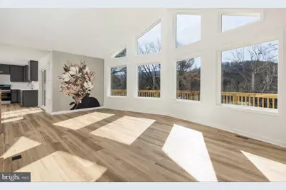 A4 Gooney Manor Loop, Bentonville, VA 22610 - Photo 5