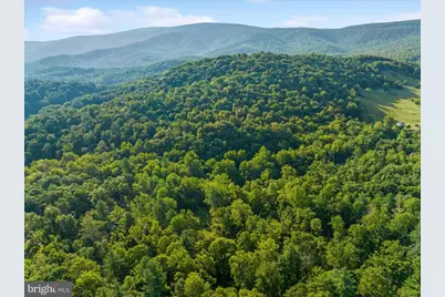 A4 Gooney Manor Loop, Bentonville, VA 22610 - Photo 53