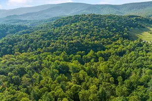 A4 Gooney Manor Loop, Bentonville, VA 22610 - Photo 53