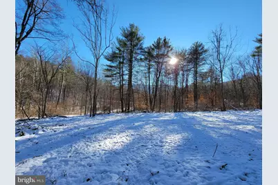 49A4 Gooney Manor Loop, Bentonville, VA 22610 - Photo 19