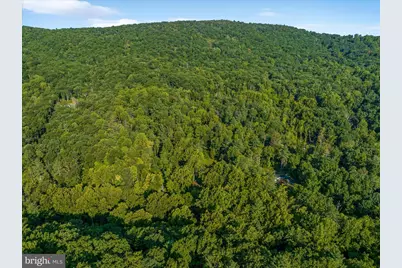 49A4 Gooney Manor Loop, Bentonville, VA 22610 - Photo 31