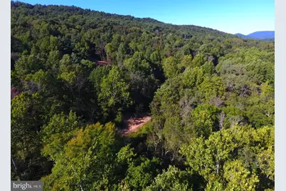 49A4 Gooney Manor Loop, Bentonville, VA 22610 - Photo 9