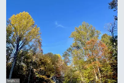 49A4 Gooney Manor Loop, Bentonville, VA 22610 - Photo 15