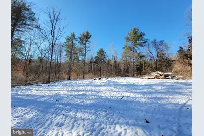 49A4 Gooney Manor Loop, Bentonville, VA 22610 - Photo 21