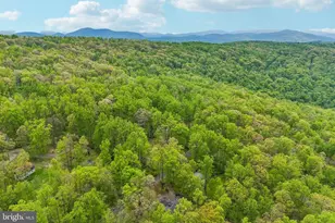 141 Hickory Nut Rd, Linden, VA 22642 - Photo 3