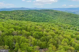 141 Hickory Nut Rd, Linden, VA 22642 - Photo 29