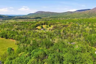938 Fetchett Rd, Bentonville, VA 22610 - Photo 67