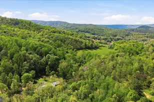 938 Fetchett Rd, Bentonville, VA 22610 - Photo 65