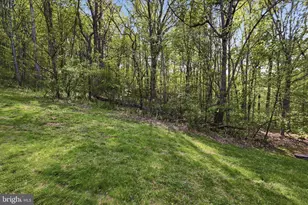 938 Fetchett Rd, Bentonville, VA 22610 - Photo 53