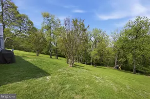 91 Granny Smith Rd, Linden, VA 22642 - Photo 37