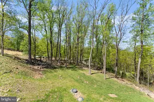 753 Club House Rd, Front Royal, VA 22630 - Photo 69