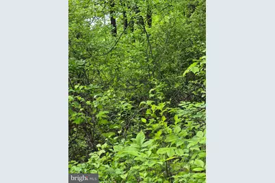 Lot 415 Briar, Front Royal, VA 22630 - Photo 1