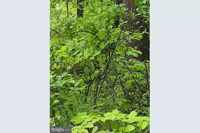 Lot 415 Briar, Front Royal, VA 22630 - Photo 3