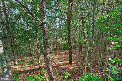 Lot G River Oak Drive, Bentonville, VA 22610 - Photo 13