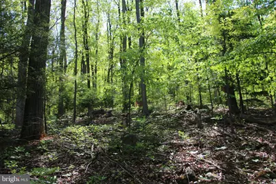 4011 Blue Mountain Road, Front Royal, VA 22630 - Photo 19