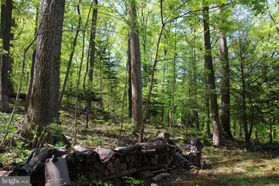 4011 Blue Mountain Road, Front Royal, VA 22630 - Photo 25