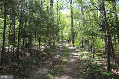 4011 Blue Mountain Road, Front Royal, VA 22630 - Photo 3