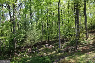 4011 Blue Mountain Road, Front Royal, VA 22630 - Photo 11