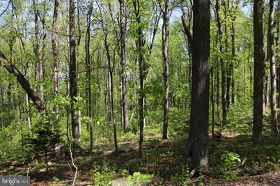 4011 Blue Mountain Road, Front Royal, VA 22630 - Photo 27