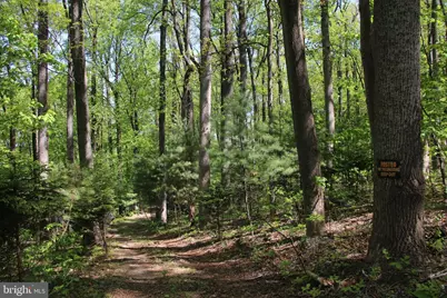 4011 Blue Mountain Road, Front Royal, VA 22630 - Photo 7