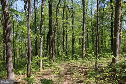 4011 Blue Mountain Road, Front Royal, VA 22630 - Photo 23