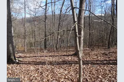 Lot 77 Gussin Way, Linden, VA 22642 - Photo 13