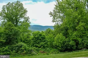 703 Cardinal Dr, Front Royal, VA 22630 - Photo 51