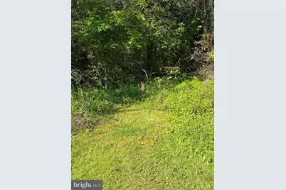 145 Lake Ridge Road, Strasburg, VA 22657 - Photo 19