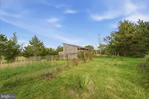 165 Wilson Burke Rd, Front Royal, VA 22630 - Photo 107