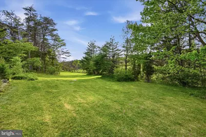 165 Wilson Burke Road, Front Royal, VA 22630 - Photo 115