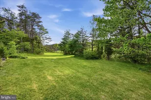 165 Wilson Burke Rd, Front Royal, VA 22630 - Photo 115