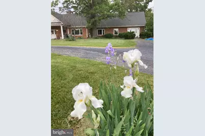 165 Wilson Burke Road, Front Royal, VA 22630 - Photo 127