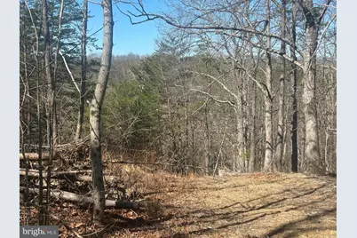 Andrews Road, Strasburg, VA 22657 - Photo 1
