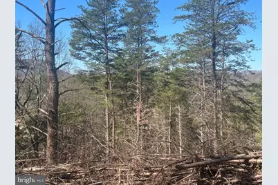 Andrews Road, Strasburg, VA 22657 - Photo 1