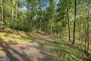 142 Spring Hollow Rd, Front Royal, VA 22630 - Photo 45