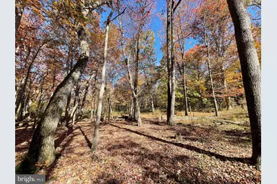 Parcel 63 Buck Mountain Rd, Bentonville, VA 22610 - Photo 53