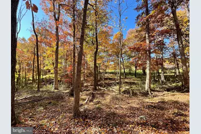 Parcel 63 Buck Mountain Rd, Bentonville, VA 22610 - Photo 51
