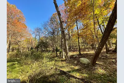 Parcel 63 Buck Mountain Rd, Bentonville, VA 22610 - Photo 45