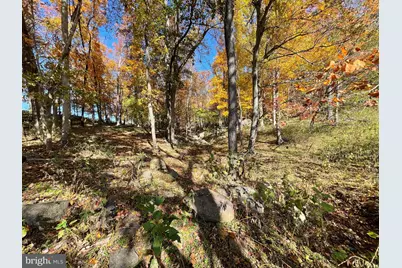 Parcel 63 Buck Mountain Rd, Bentonville, VA 22610 - Photo 57