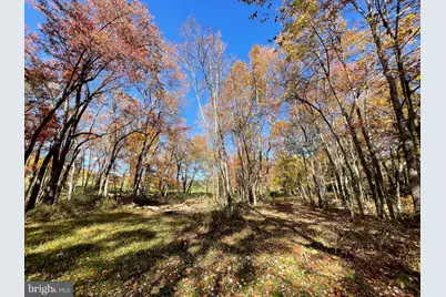 Parcel 63 Buck Mountain Rd, Bentonville, VA 22610 - Photo 47