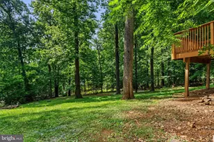 997 Wilderness Rd, Linden, VA 22642 - Photo 57