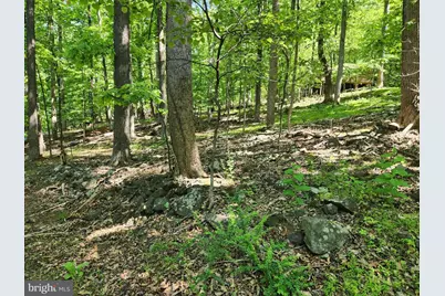 Cashmere Court, Linden, VA 22642 - Photo 3