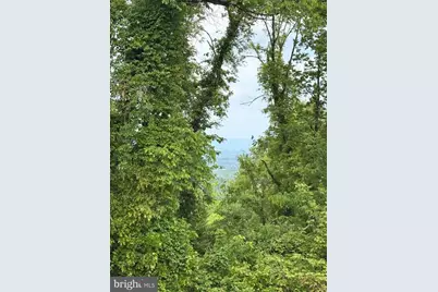 2775 Blue Mountain Road, Front Royal, VA 22630 - Photo 33