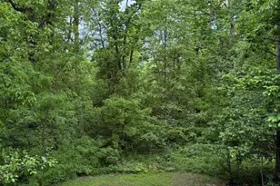 146 Trillium Trail Rd, Linden, VA 22642 - Photo 17