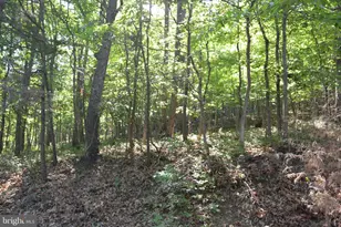 3 Lots - 59 60 61 Baldwin Rd, Front Royal, VA 22630 - Photo 1