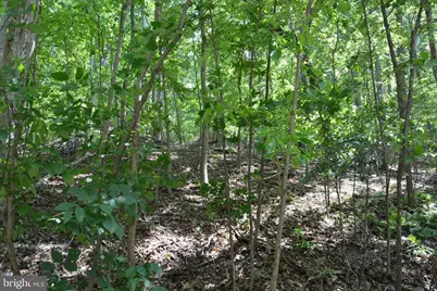3 Lots - 59, 60, 61 Baldwin Road, Front Royal, VA 22630 - Photo 21