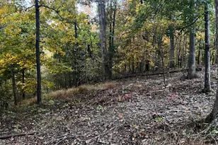 Tbd Oak Hill Ct, Stephens City, VA 22655 - Photo 5