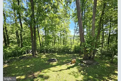 2628 High Top Road, Linden, VA 22642 - Photo 5